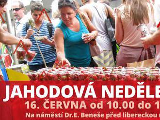 Jahodová neděle