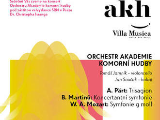 Orchestr Akademie komorní hudby v Kostelci nad Černými lesy