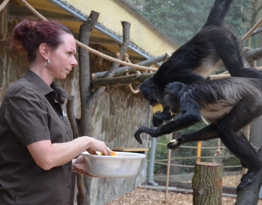 Retrovstupné v Zoo Děčín