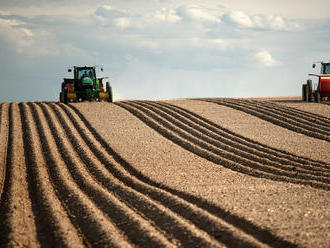 Farmári mali vlani hrubý zisk 96 miliónov eur. Pomohli dotácie a šetrenie