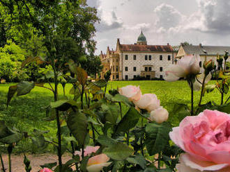 Zámek Častolovice se proměnil v růžové království