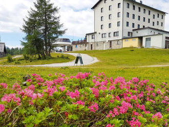 Rakúske Alpy v Hoteli Berghof *** Tauplitzalm pri lanovke s polpenziou a saunou.