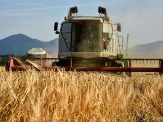 Kombajny sa naplno rozbehli na žatvu, najmä na juhu Slovenska