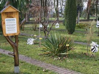 Botanická záhrada UPJŠ v Košiciach bude celé leto zatvorená