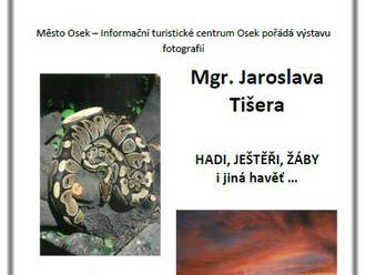 Výstava fotografií Jaroslava Tišera