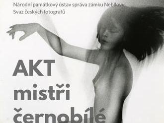 AKT - černobílé fotografie - Zámek Nebílovy