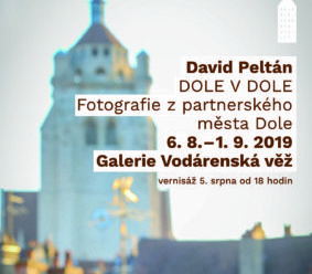 David Peltán / Dole v Dole