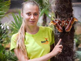 Motýlia záhrada na Liptove očarí malých i veľkých návštevníkov  