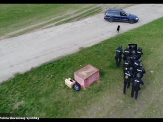 Unikátny policajný pes skákal za zločincom cez okno auta. Pozrite si video