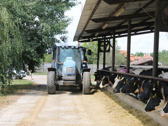 Družstvo či rodinná farma? V Rybanoch družstvo