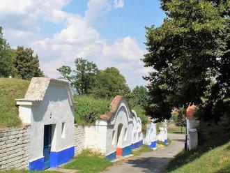 Vínobus propojí slováckou Strážnici a slovenskou Skalici. Na jeden den