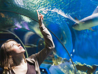 Jednodňový zájazd do Budapešti a návšteva Tropicaria Oceanaria s profesionálnym sprievodcom.