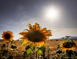 SHMÚ upozorňuje v niektorých regiónoch na horúčavy