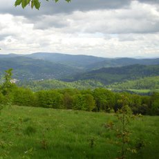 Vskutku neobvyklý houbařský úlovek