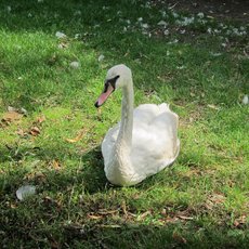 Park Cihelná a fotoreportáž