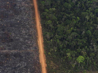 Nórsko tlačí na Brazíliu, chce zamedziť zničeniu Amazonského pralesa
