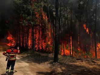 Na ostrove Gran Canaria hasia veľký lesný požiar