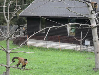 Školák Oliver je jubilejným návštevníkom zoo v Košiciach