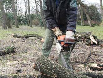 V parčíku na Legionárskej začali rúbať stromy, vyvolalo to konflikt