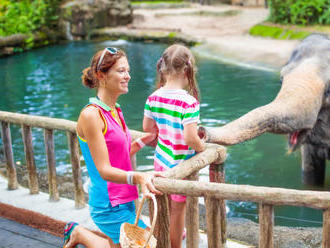 Penzión Pod vyhlídkou blízko ZOO Dvůr Králové s raňajkami, vínom a saunou