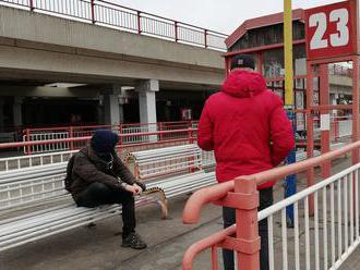 Prvý deň banskobystrickej župy bez autobusov