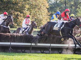 Velkou pardubickou ovládl dvanáctiletý Hegnus