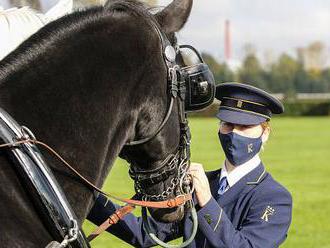 Tragédie na Velké pardubické. Kůň Sottovento si zlomil vaz a závod nepřežil