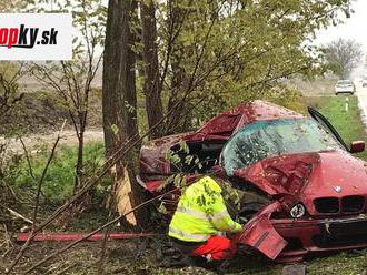 FOTO Pri Trnave skončilo červené BMW mimo cestu v strome: Zranili sa malé deti, z auta je šrot