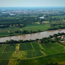 Milovníci vína: Bordeaux – Cuveé