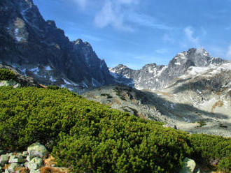 Vysoké Tatry vo vile Domino s raňajkami, hydromasážnou vaňou a zľavou do wellness.