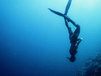 Ochutnávka prístrojového potápania alebo freedivingu - 60 min. teórie a 60 min.v bazéne.