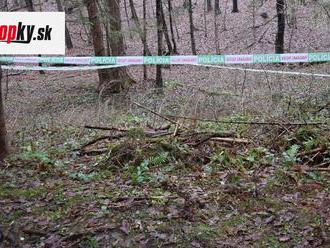 Hrozivý nález v lese: FOTO Polícia obvinila z vraždy 34-ročného Banskobystričana