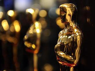 Oscars 2020: Explore all the nominees and where to stream movies in Google's new search hub     - CN