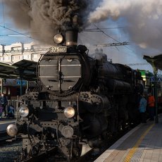 Putování s párou - Do lužních lesů Moravy