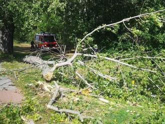 Pre Bratislavský kraj, okresy Dunajská Streda a Nitra platí výstraha 3. stupňa