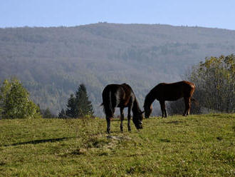 SR nepodpísala výzvu, že oživenie po kríze neohrozí ekologické ciele