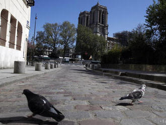 Obnovu katedrály Notre-Dame zdržiava koronavírusová pandémia