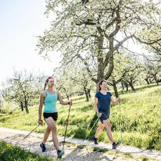 Nejefektivnější pohyb při krátké procházce? Vyzkoušejte Nordic walking!