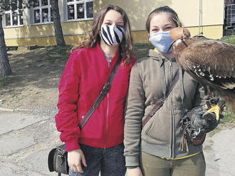 Dravce nepoznajú voľno. Prvá škola na svete vyučuje sokoliarstvo