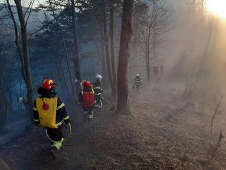 Po hodinách uhasili lesný požiar, zasiahla takmer stovka hasičov