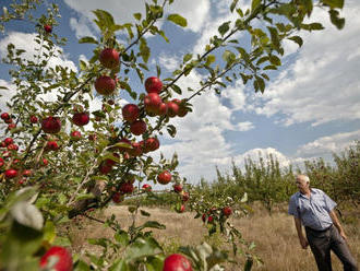 Zástupcovia farmárov sú nespokojní s programovým vyhlásením vlády