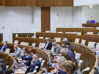 NR SR pokračuje v rokovaní o programovom vyhlásení vlády