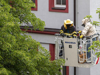 Hasiči so včelárom odstraňovali z lipy v Bratislave roj včiel