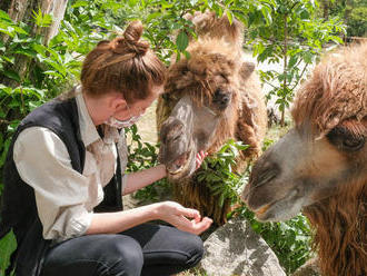 Otvorenie zoo privítali najmä deti