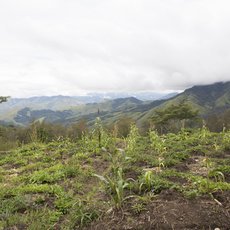 Papua Nová Guinea: dva světy - Pagi