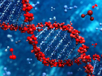 Pre pochybnosti o dôkazoch s DNA preveria v Dánsku tisícky súdnych prípadov