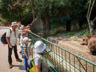 Bratislavská ZOO má novú riaditeľku. Chce mať zoologickú záhradu svetovú