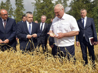 Podľa Lukašenka je žatva dôležitejšia ako prezidentské voľby