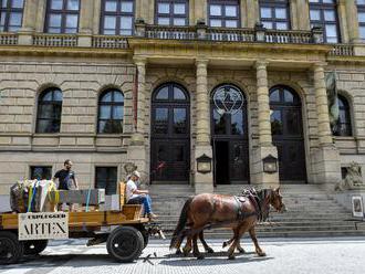 Sochu do Rudolfina přivezlo koňské dvojspřeží, výstava bude ekologická