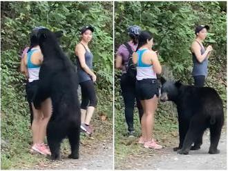 VIDEO šokovalo svet! Turistky natrafili na medveďa, šelma sa postavila na zadné a...  zarazíte sa aj